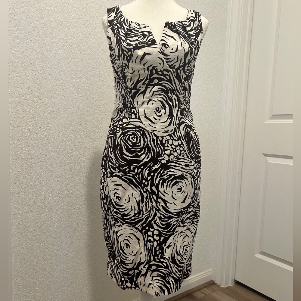 Adrianna Papell | Monochrome Rose Dress